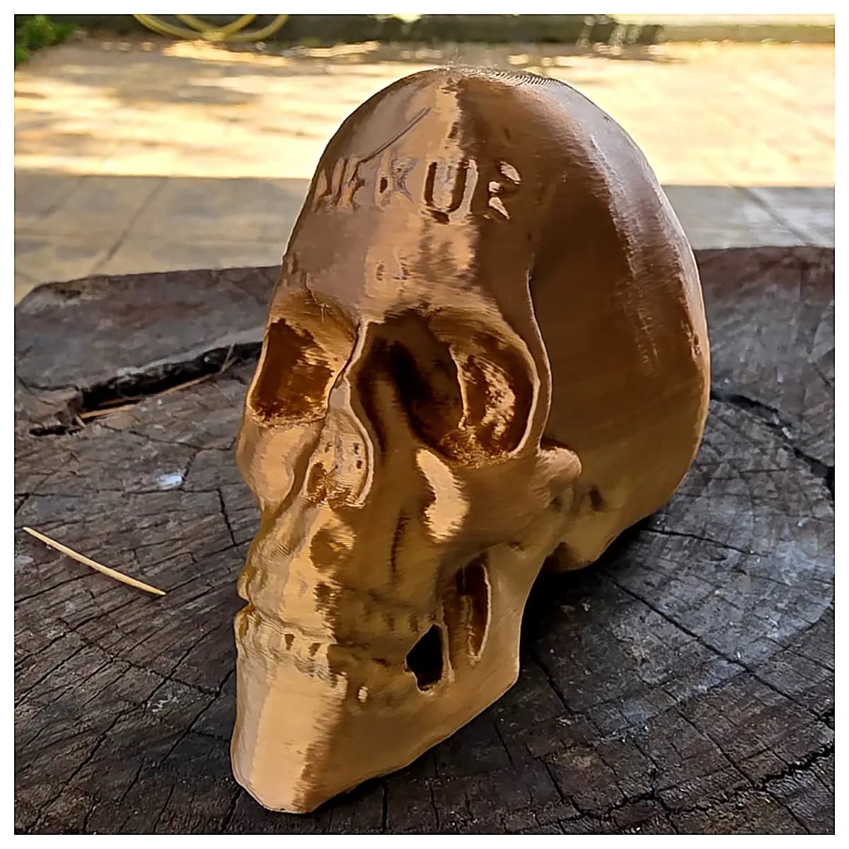 Decorative Skull Pencil Holder Creative Skull Desk Organizer Study Room Living Room Decor Skull Figurine Art Piece Desk Accessories Home Decor