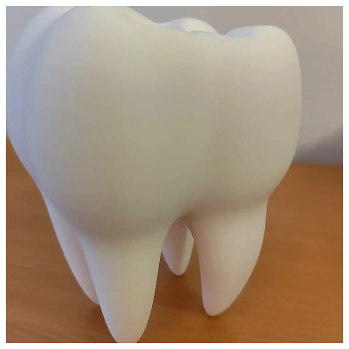 Tooth Holder Toothbrush Organizer Dental Cleaning Holder Toothcase Tooth Display Rack Dental Care Accessories