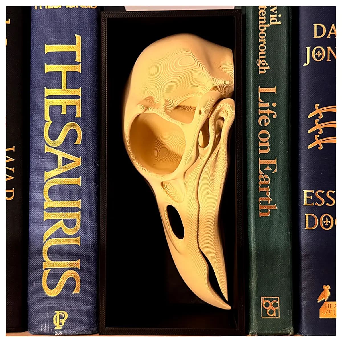 Gothic Shelf Decor Raven Skull Figurine Bookcase Ornament Black Bone Bookmark Hanging Decoration Black