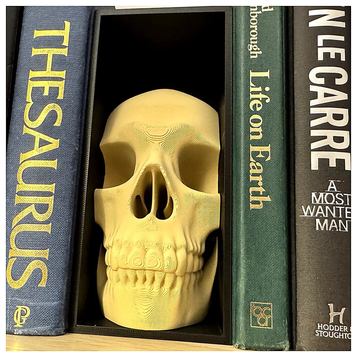 Skeleton Shelf Decor Gothic Bookcase Ornament Bone Shelf Model Horror Decoration Scene Props Skeleton Miniature
