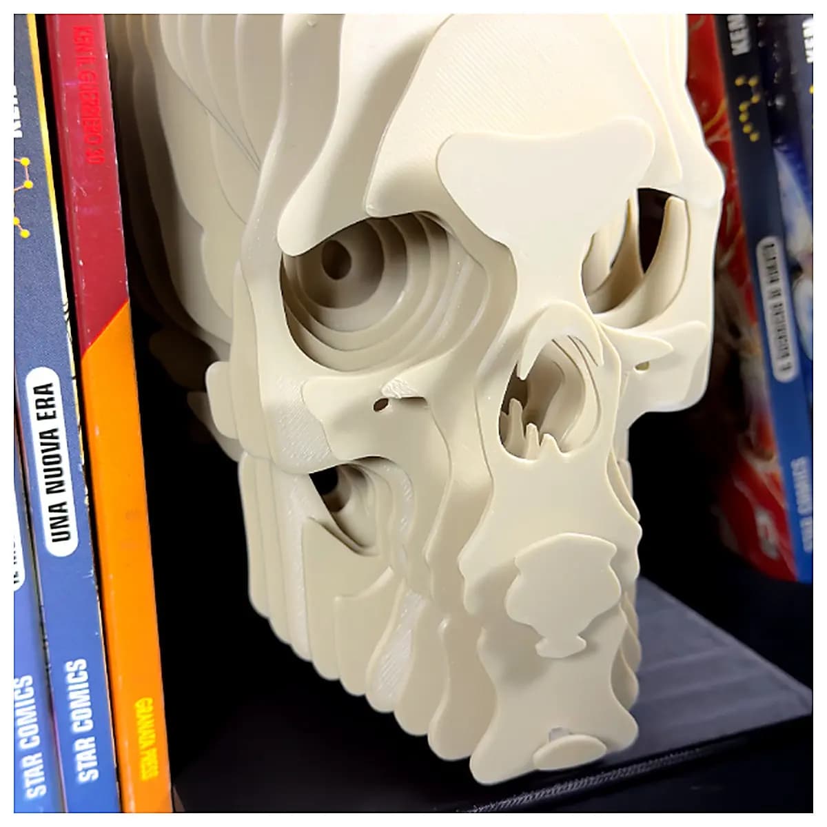 Layered Skull Model Display Stand Skeleton Decoration Desktop Ornament Learning Model Sci Fi Display Collectible Educational Supplies