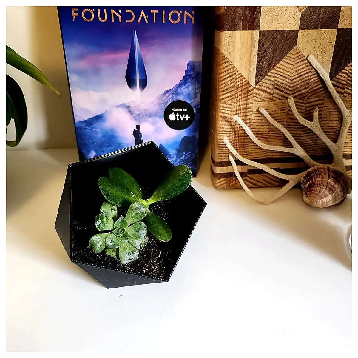 Dodecagon Book Stand Plant Pot Holder Desktop Decoration Display Stand Multi sided Book Shelf Creative Home Green Plant Support