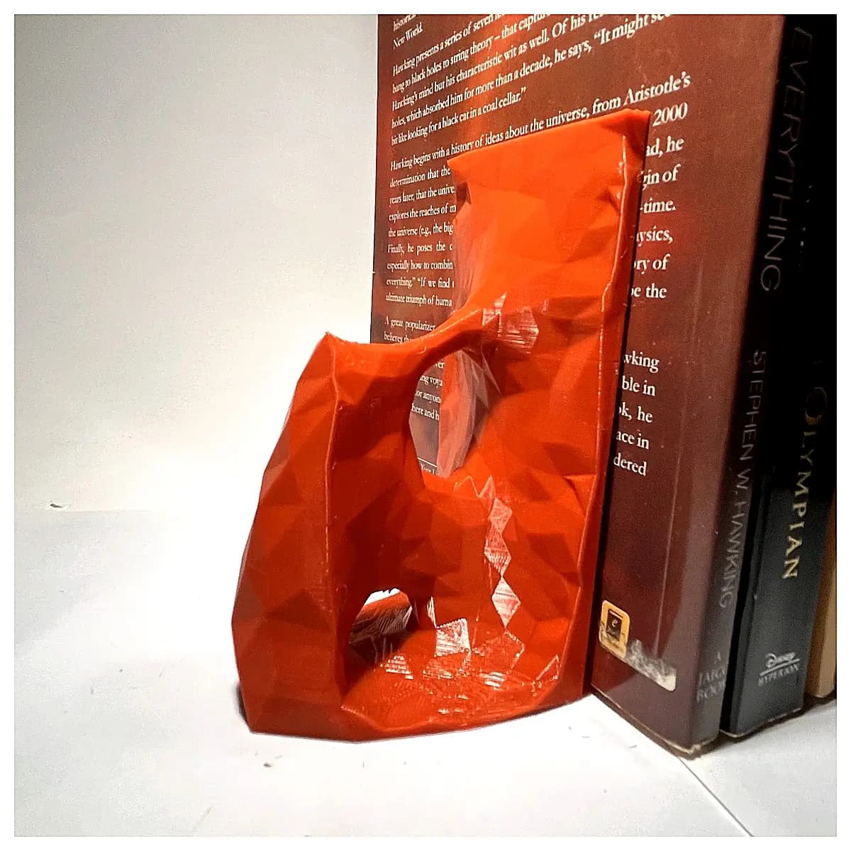 Topology Optimized Geometry Book 3D Geometric Model Architectural Design Study Building Model Geometry Tool