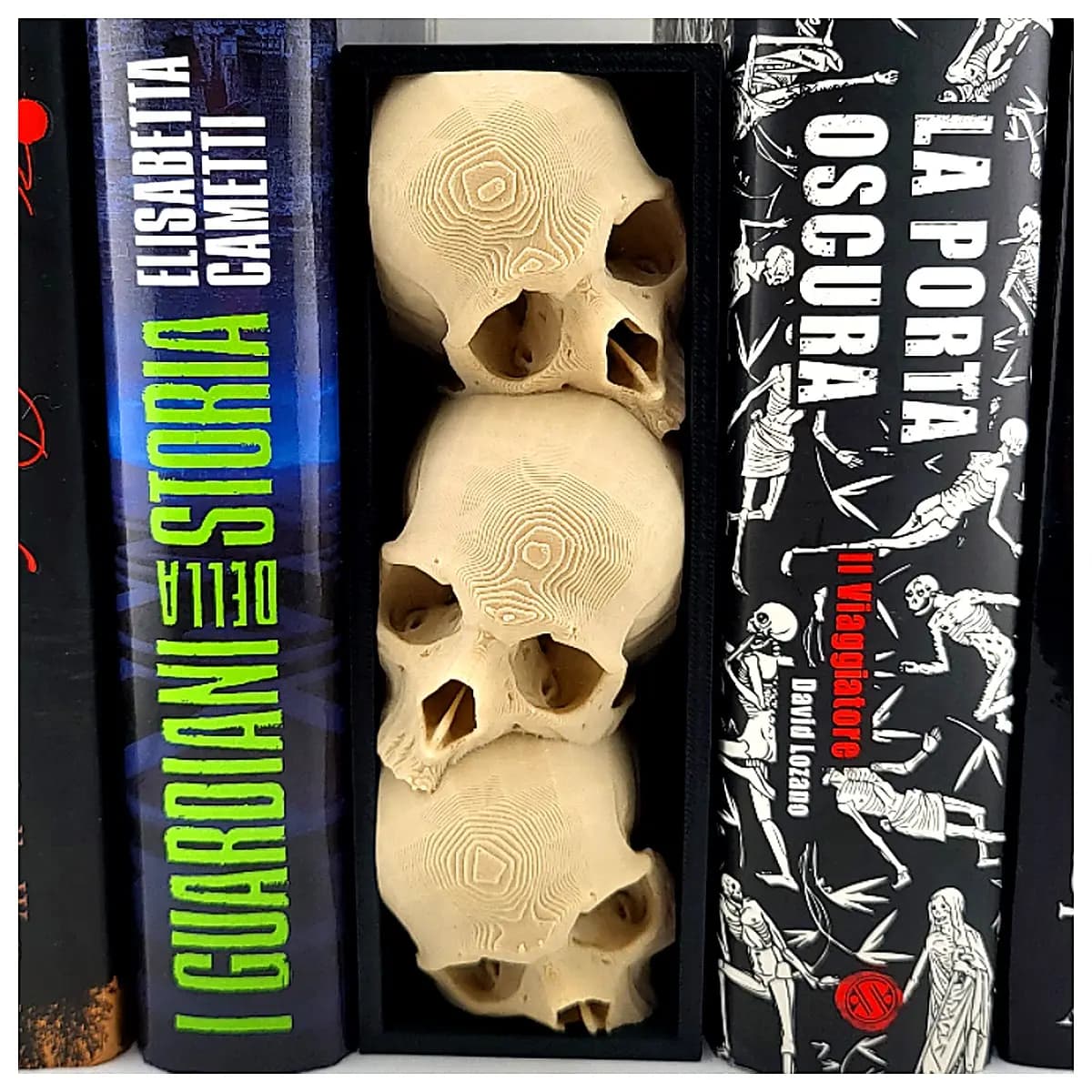 Skulls Illustrated Motorcycle Parts Repair Replacement Upgrade Modification Parts Accessories Skulls