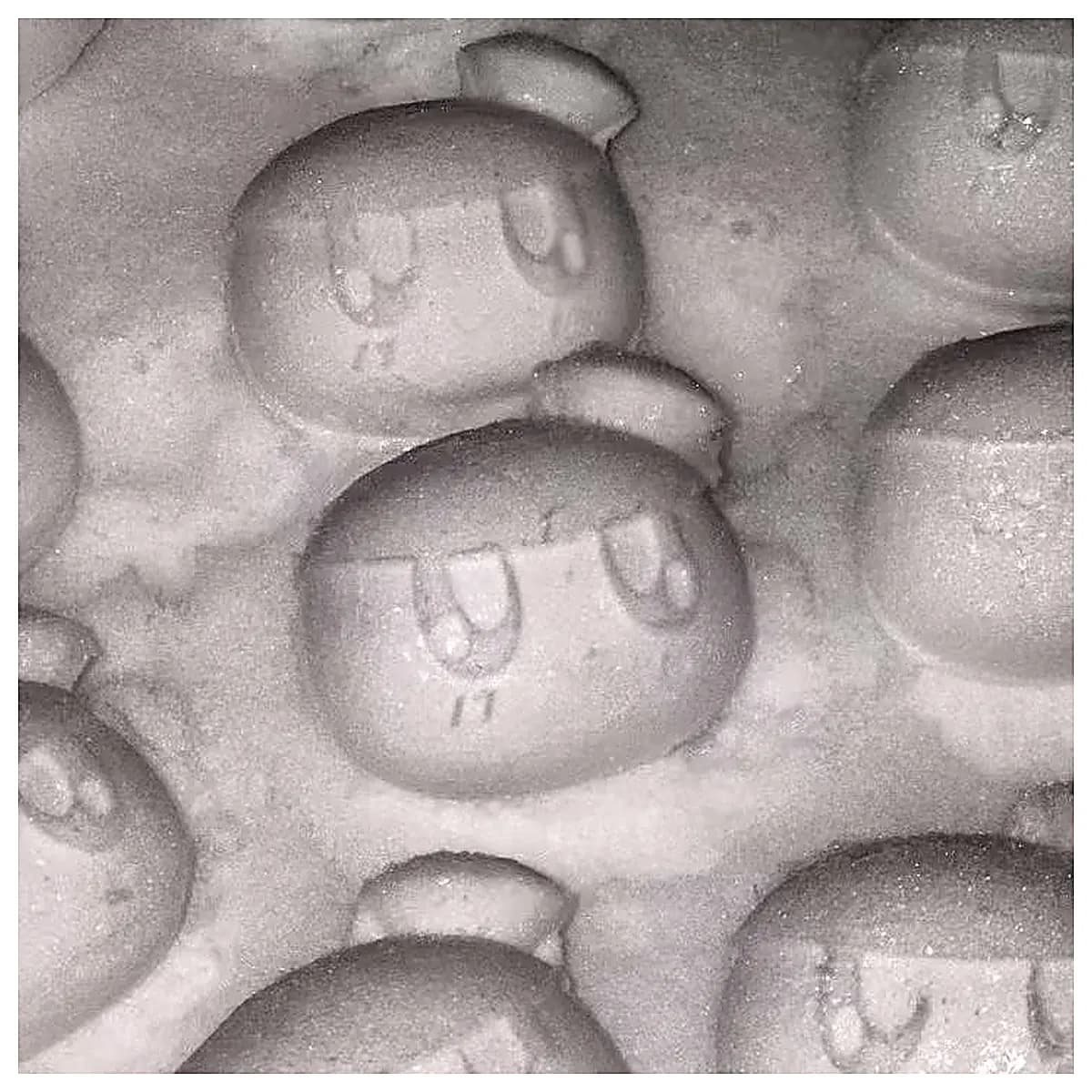 Bong Bong Head Snow Jam Car Parts Repair Maintenance Universal Parts Disassembly Installation Auto Parts