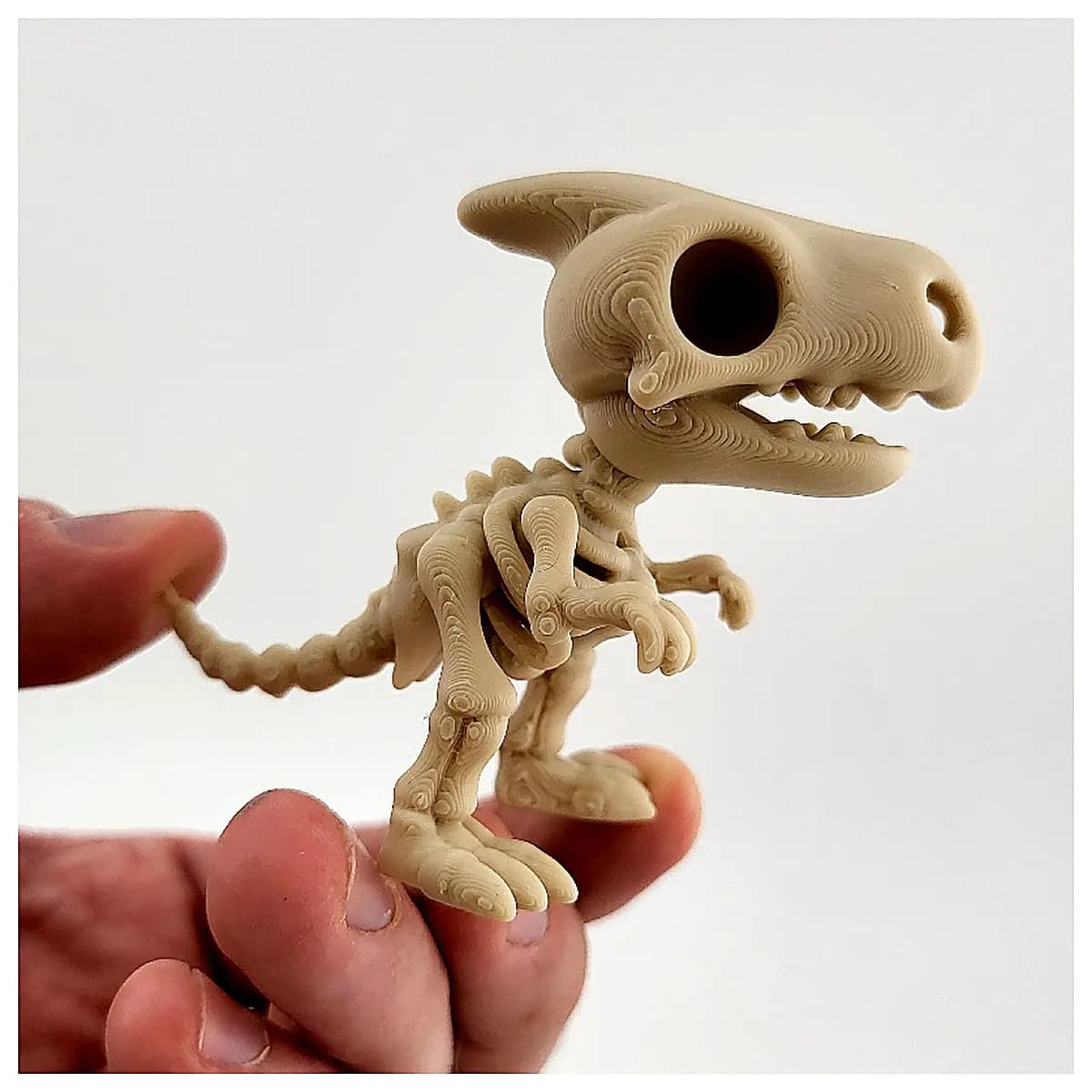 Dinosaur Skeleton Keychain Miniature Model Cute Dinosaur Decoration Souvenir Dinosaur Collection