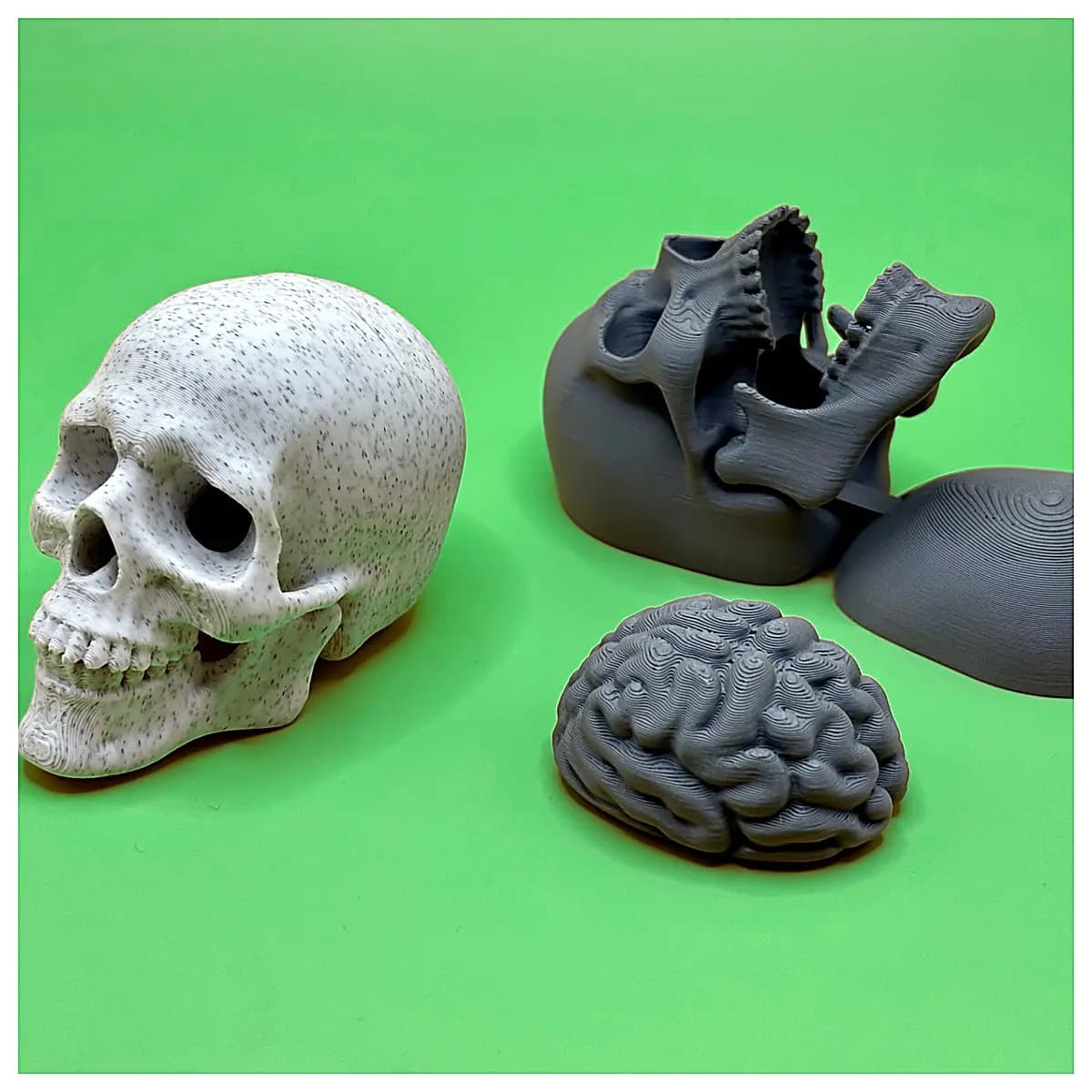 Halloween Skeleton Toy Decoration Ghost House Props Party Decorations Festival Gifts Skeleton Accessories Suitable for Halloween