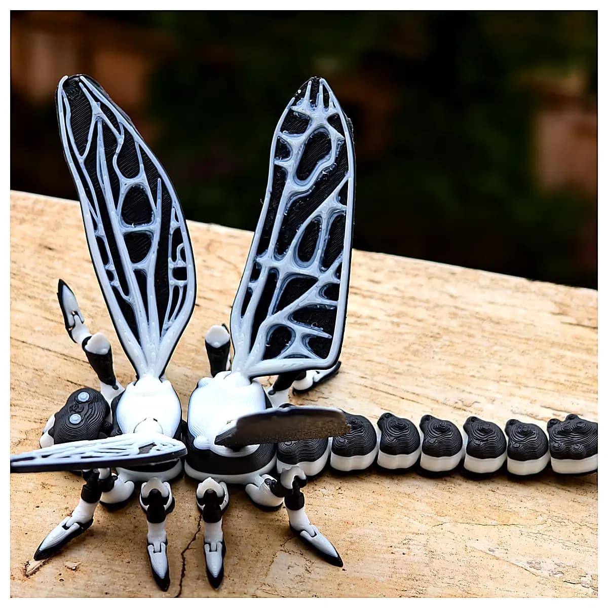 Dragonfly Model Toy Fully Articulated No Support Direct Phone Shot Kids Educational Figure Fun Collection Realistic Interactive Gift