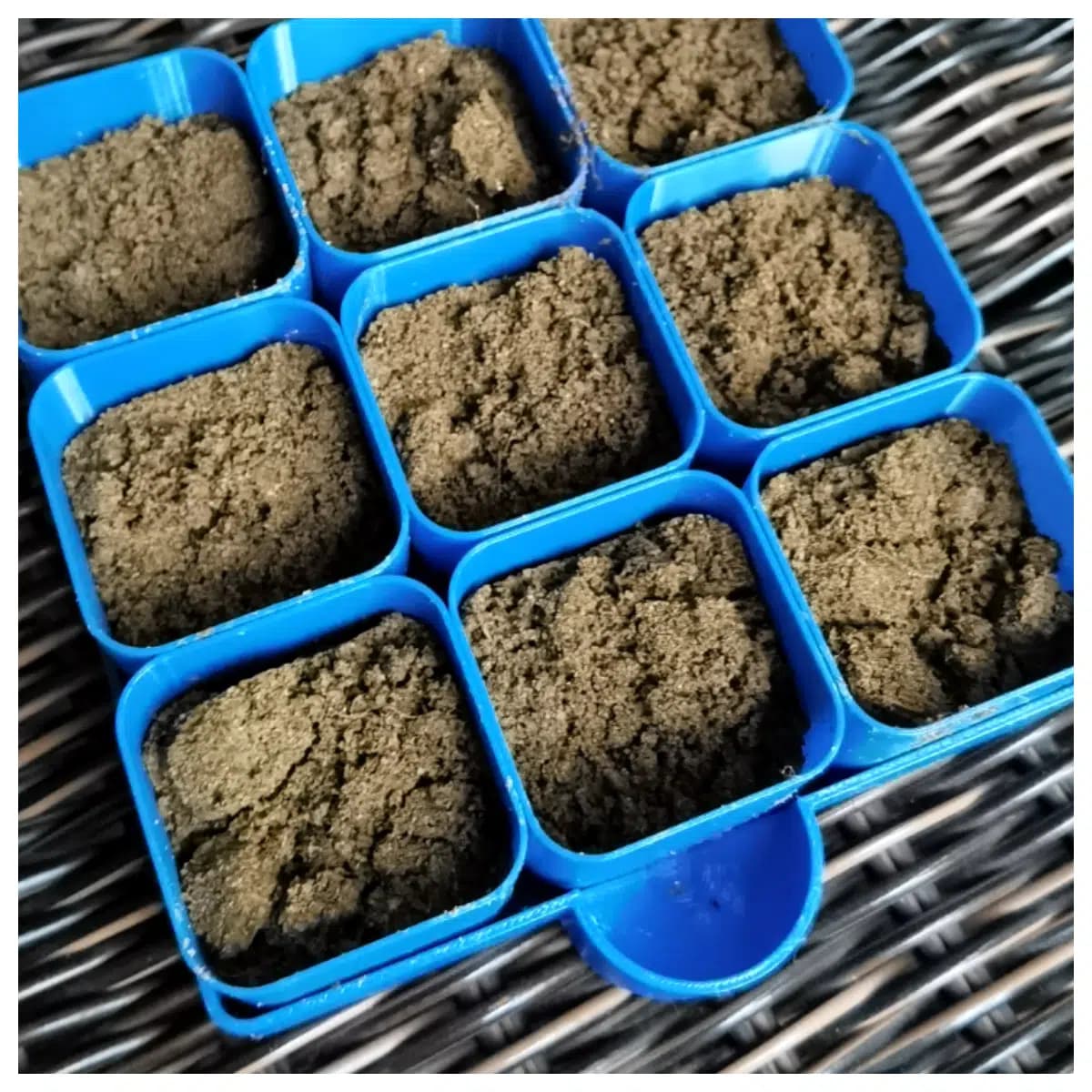 Seedling Tray Watering Drip Irrigation Starter Pot Growing Plant Tools Watering System