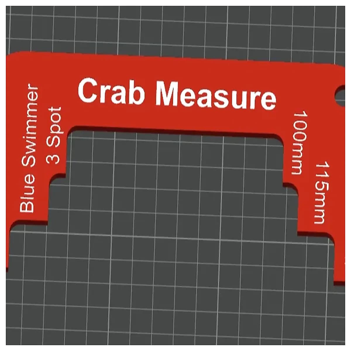 Australian Queensland Crab Measurers Crab Claws Ruler Crab Measuring Tool Kitchen Cooking Ruler Essential for Crab Lovers