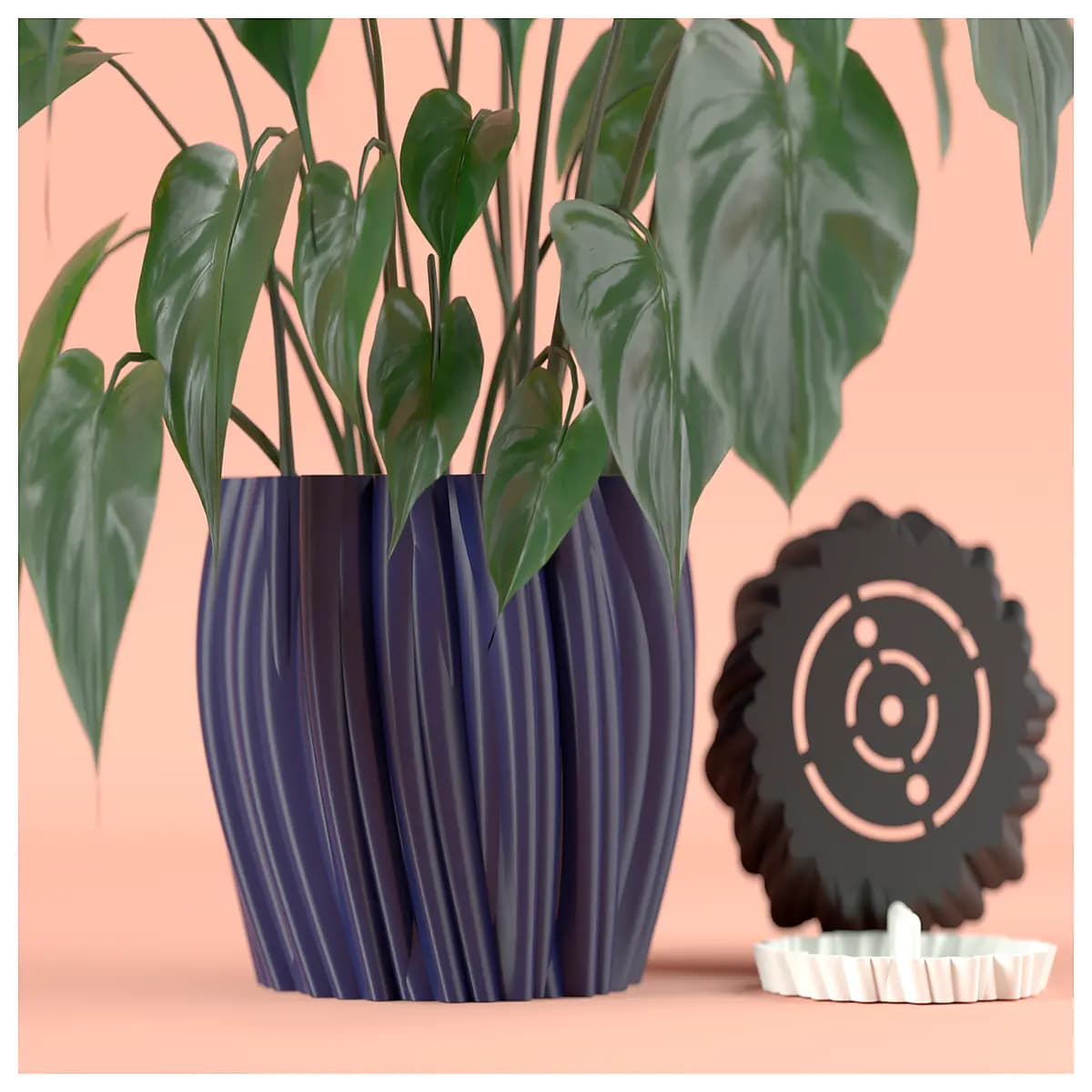 Garden & Plants