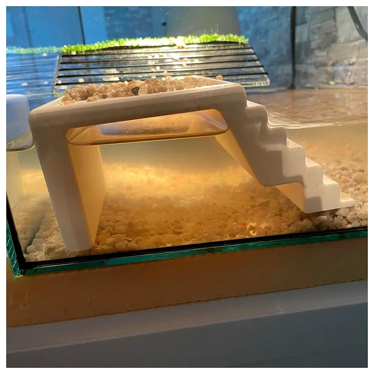 platform for sale reptile habitat enclosure tortoise tank setup exotic pet terrarium aquatic pond reptile care supplies