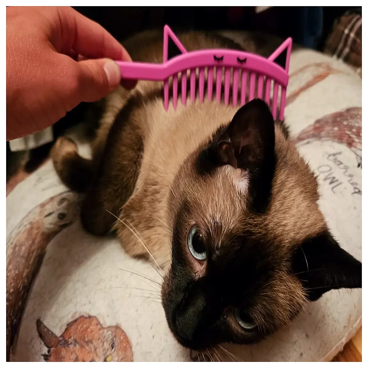 best de shedding brush for long hair cats grooming tool deshedding comb pet hair remover gentle on skin