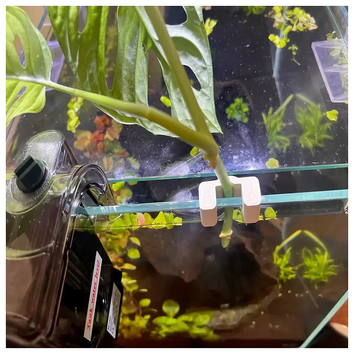 short aquarium plant shelf small fish tank rack low profile holder for home decor