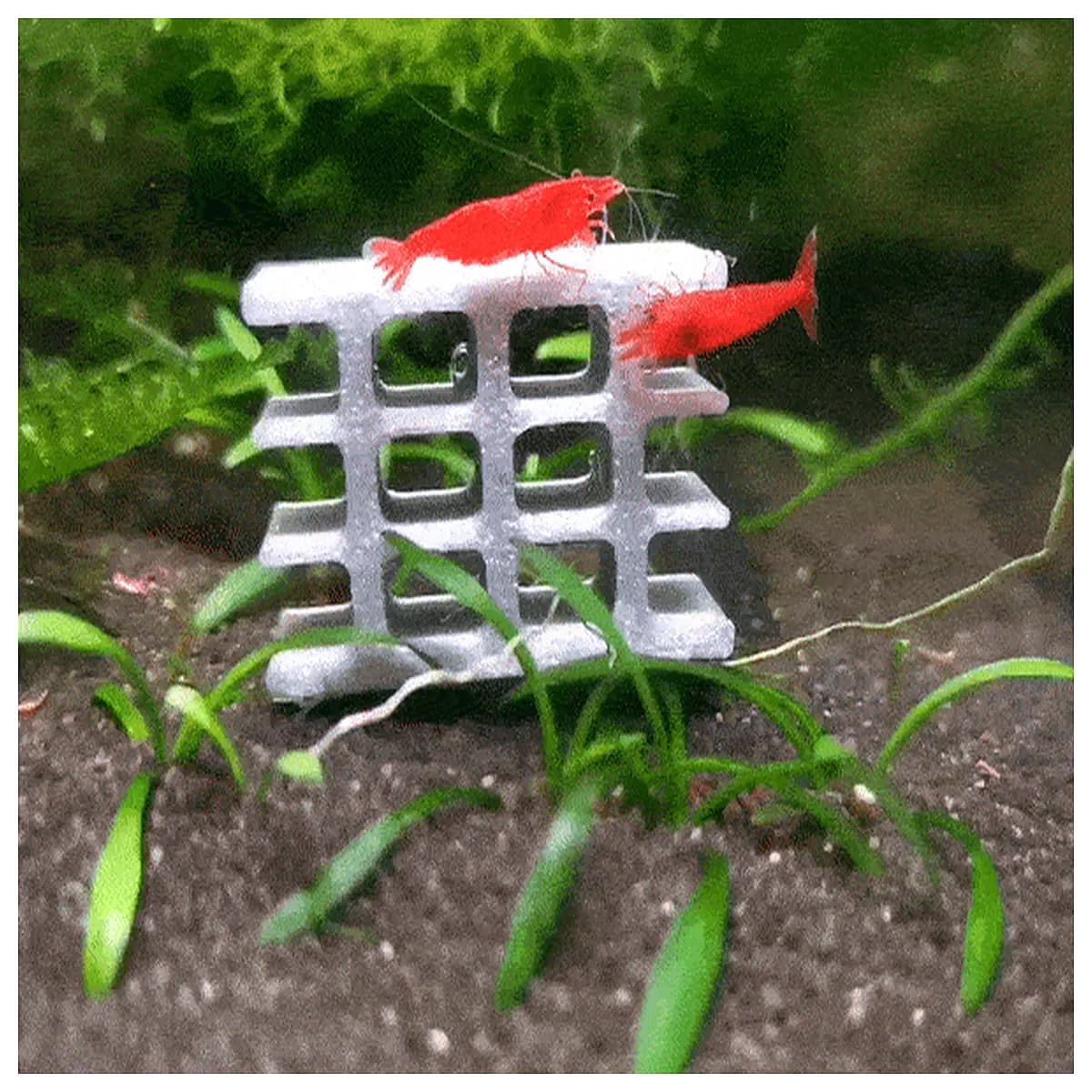 bio brick shrimp house safe habitat nutritious shelter for aquarium fish tank decoration
