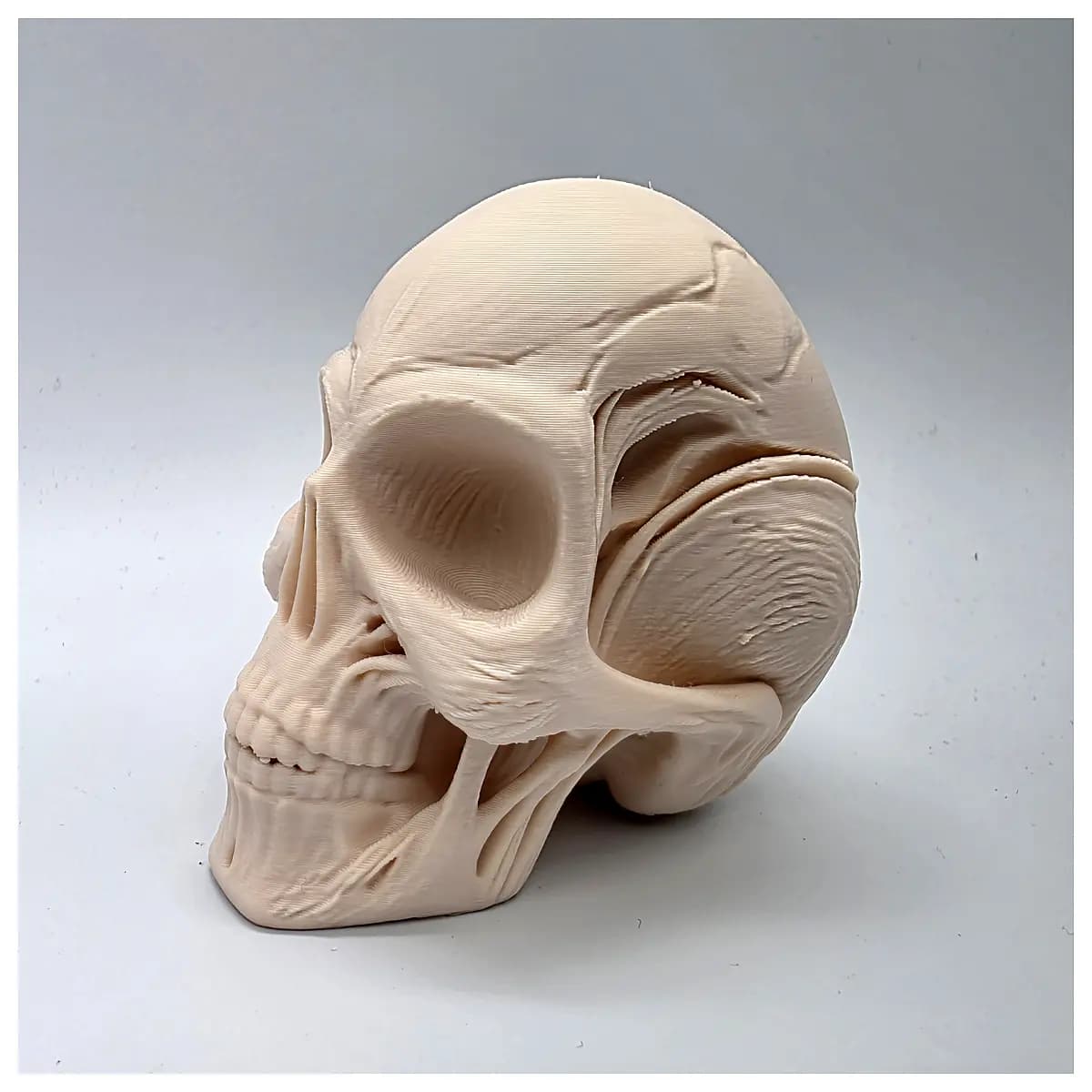 alien skull prop horror movie decoration scary halloween party centerpiece resin skull