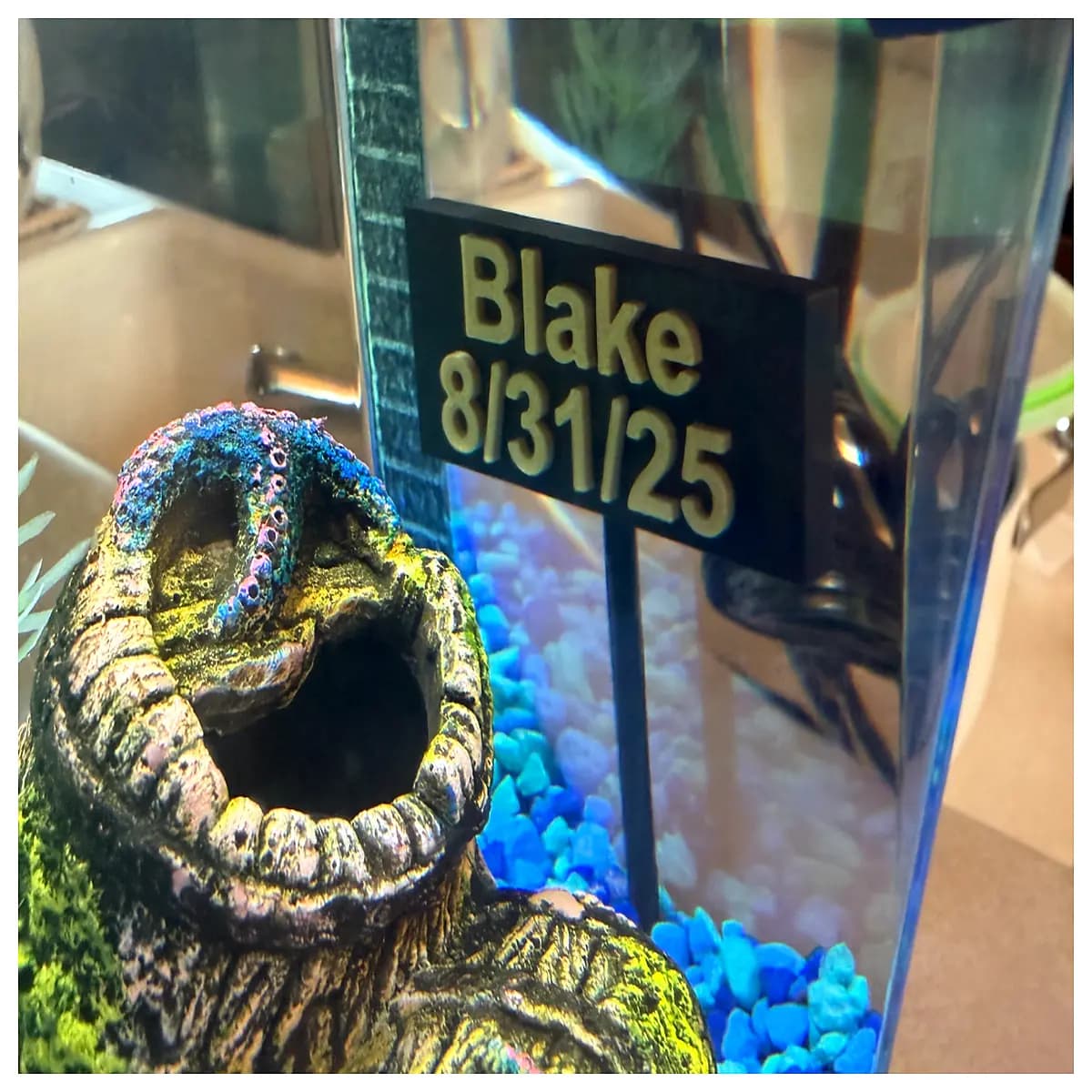 aquarium name plate custom fish tank label waterproof sticker for home decor pet supplies