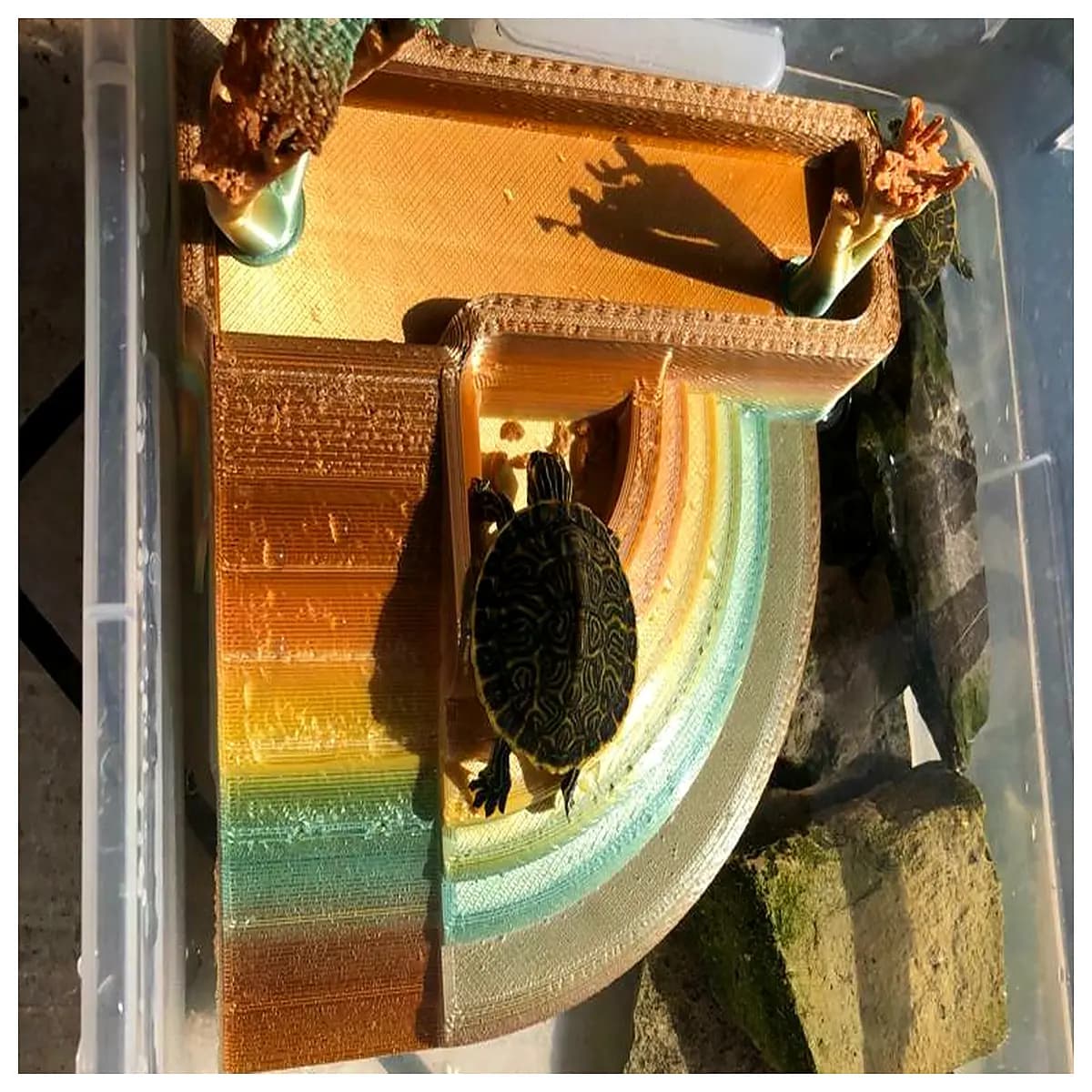aquatic tank with basking area filter pump for red eared slider pet reptile habitat