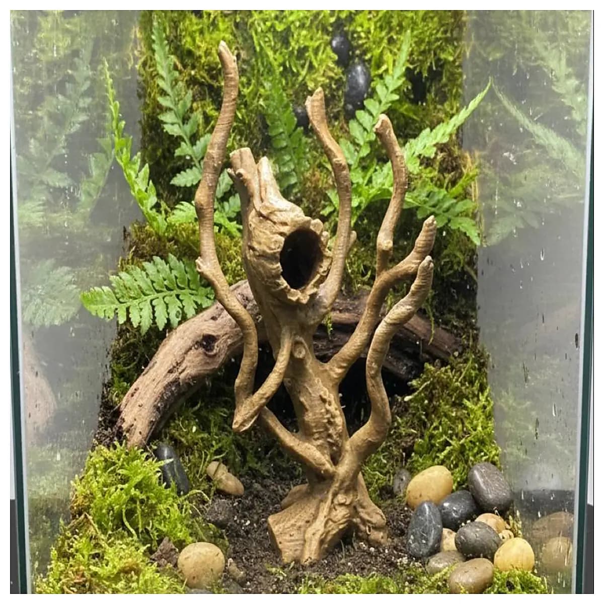 jumping spider terrarium a frame with hidden compartment hideout for tarantula arachnid enclosure