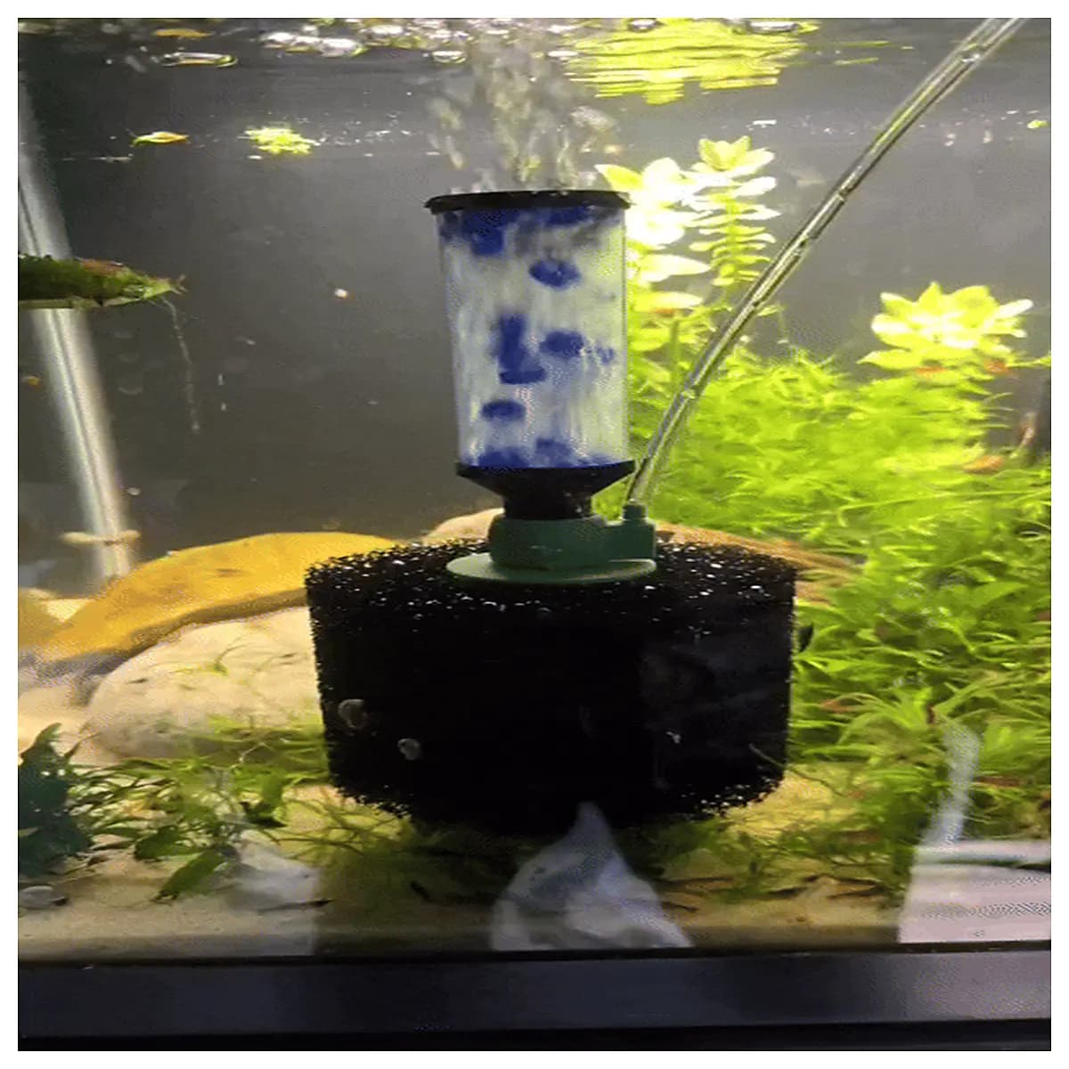 aquarium sponge pump bubble stone air diffuser for fish tank oxygenation quiet operation