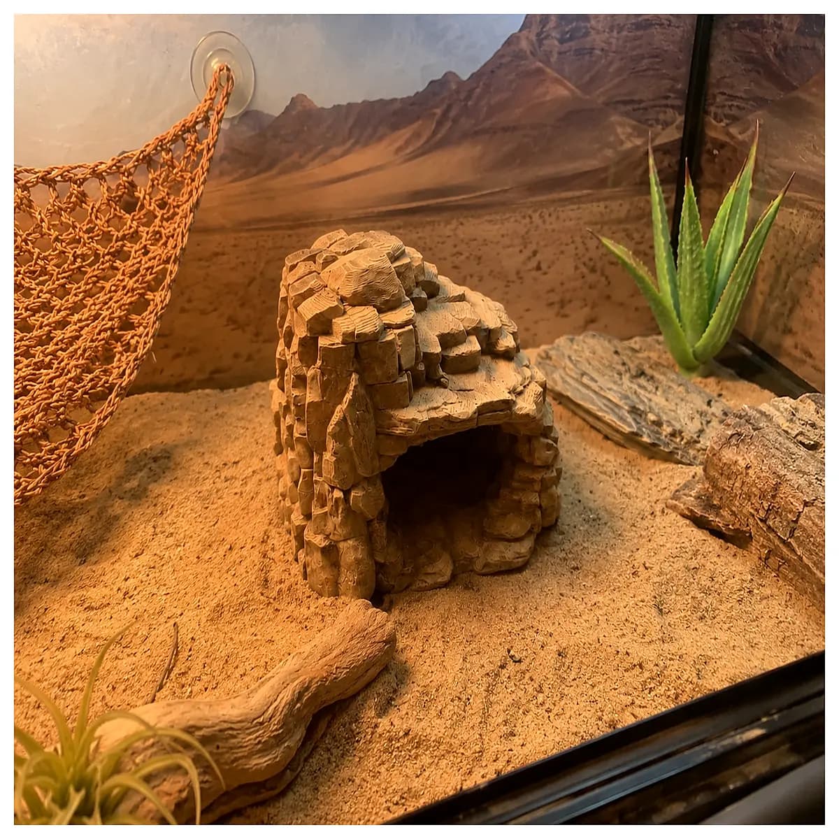 desert stone hiding spot for small pets gecko terrarium decor hiding place