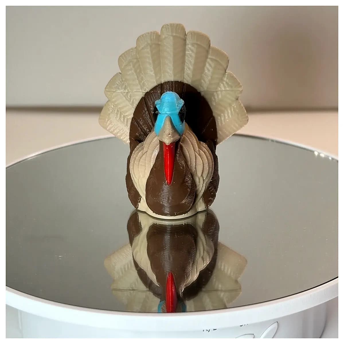 whole turkey for thanksgiving dinner turkey breast organic turkey legs ground turkey meat turkey sandwich meat deli slices
