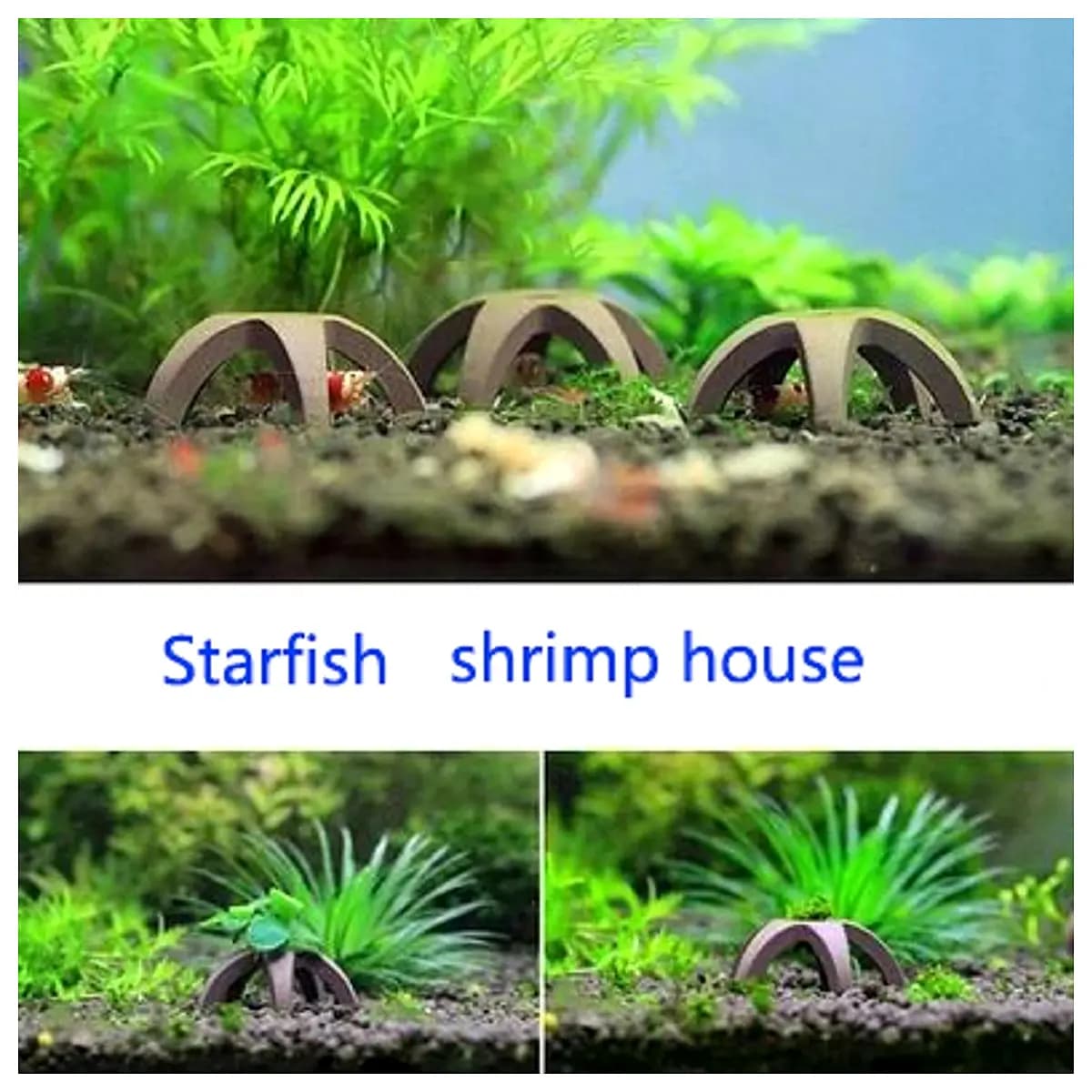 aquarium shrimp hideout star shelter breeding cave tank decoration hiding spot for cherry neocaridina