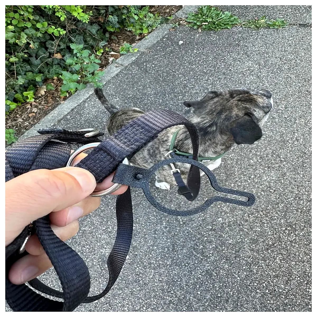 poop bag holder no tools needed easy install dog waste dispenser mount for post
