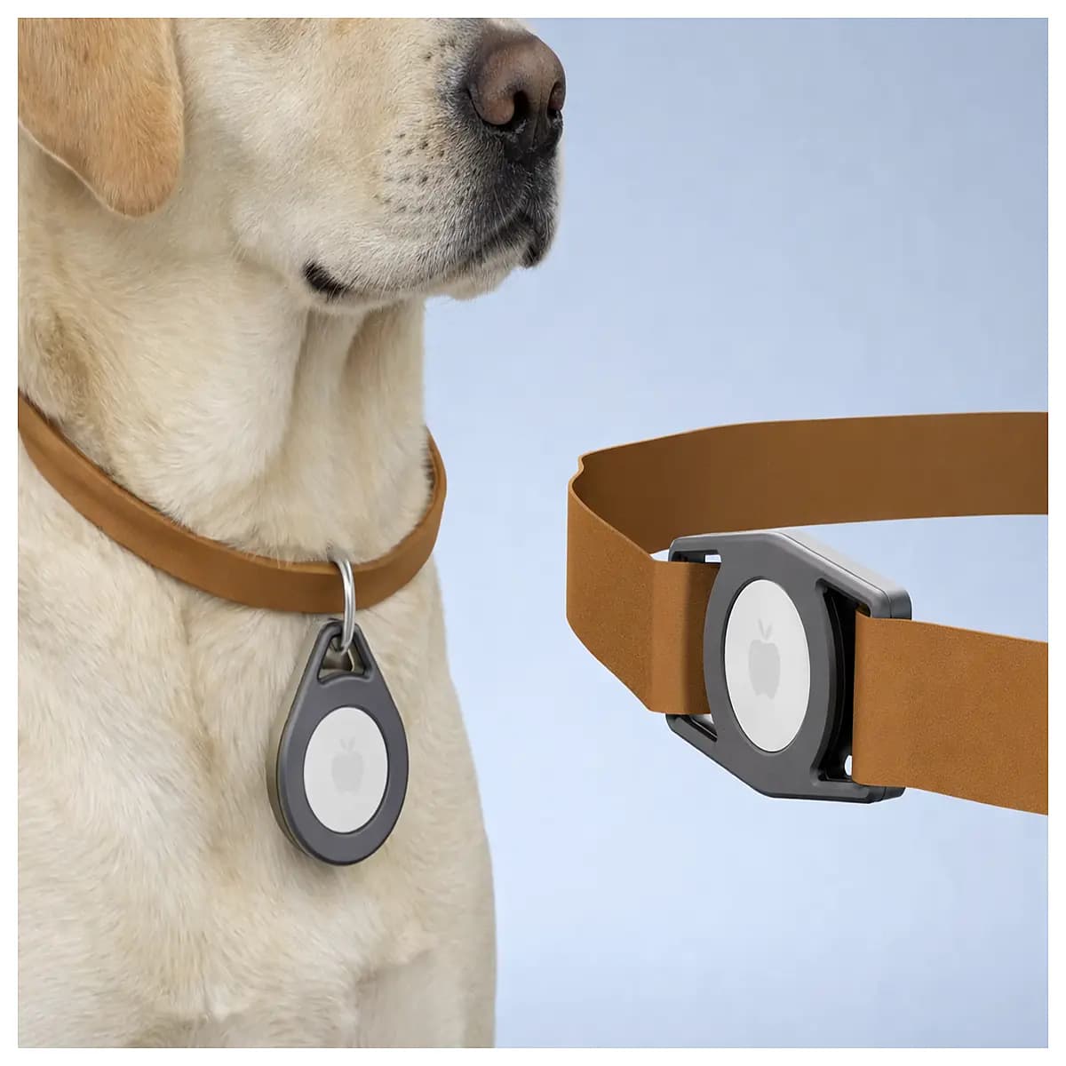 dog collar leather waterproof gps tracker for pets small medium large dogs cat collar with safety buckle anti loss locator