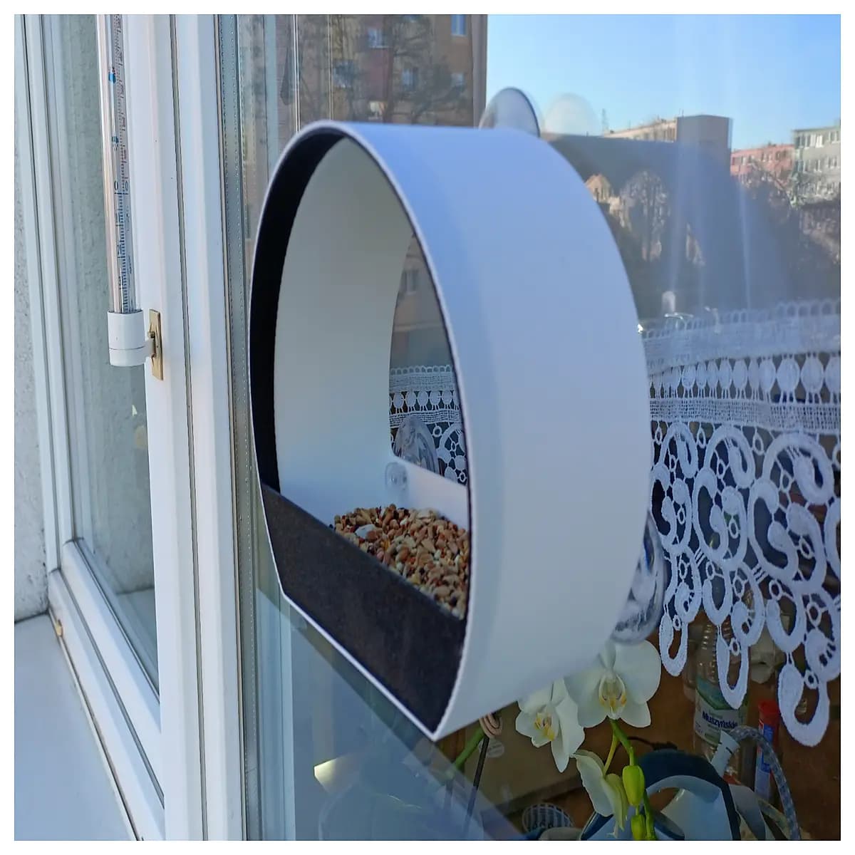 window bird feeder suction cup clear view hanging bird watching station outdoor garden wild bird food tray