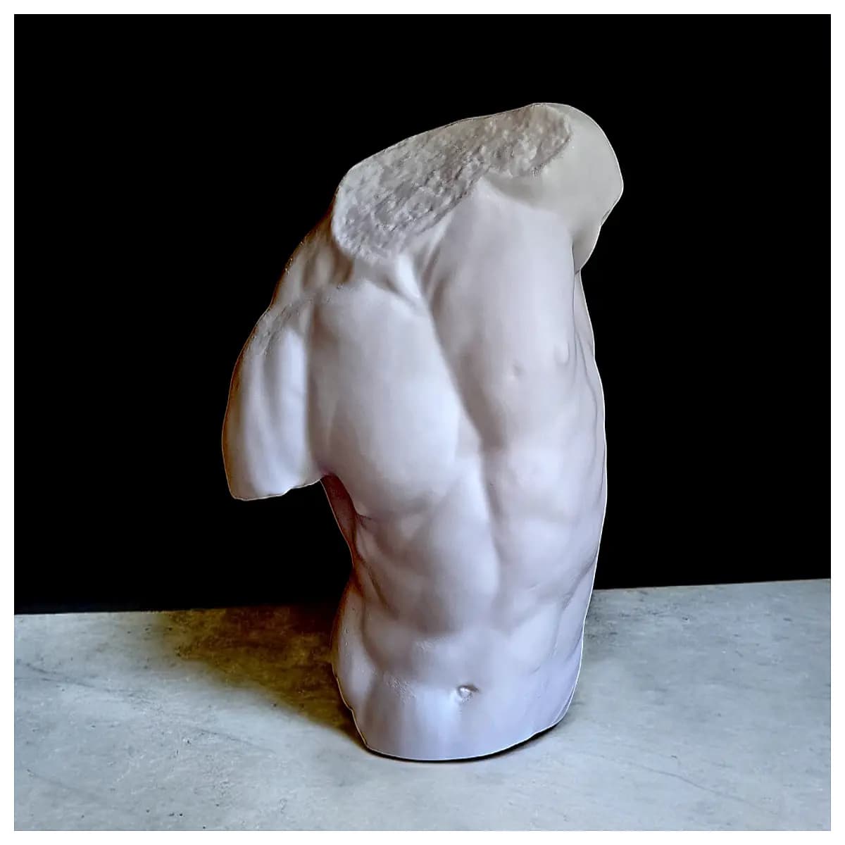 gard torso armor mannequin for clothing store fashion boutique rack support