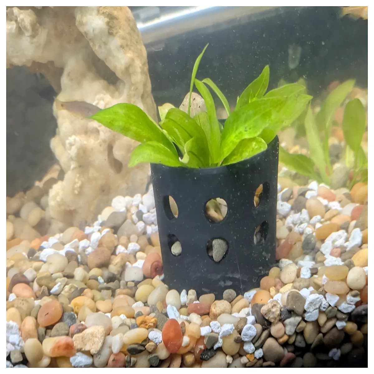 aquarium plant pot indoor garden planter fish tank decoration hydroponic vase for aquatic plants