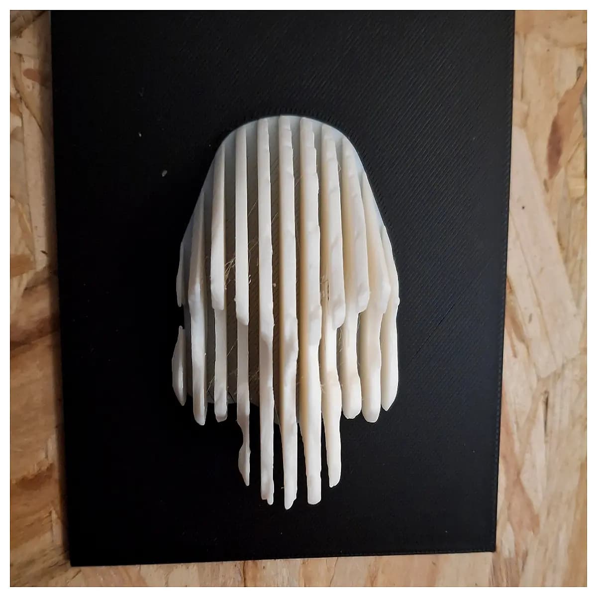 anatomical skull slice science education museum prop decorative art piece for study