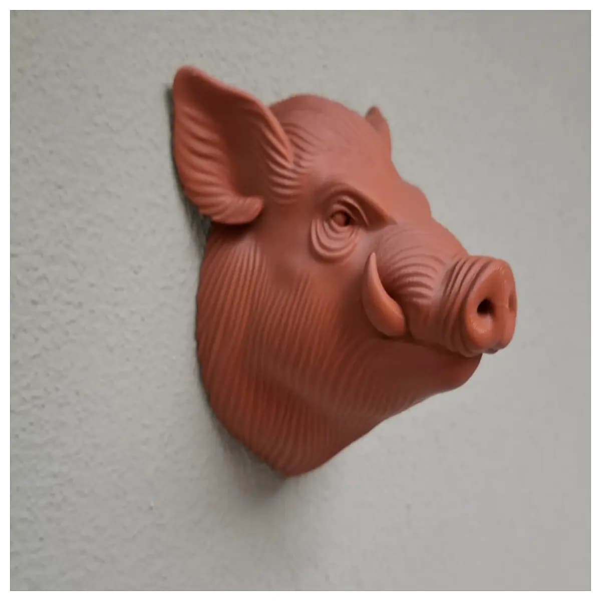 wild boar wall mount head taxidermy hunting trophy decor rustic cabin home ornament