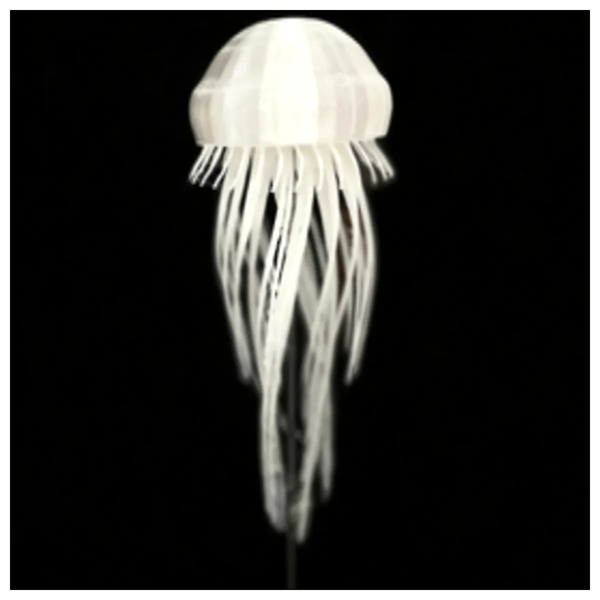 levitating jellyfish decor magnetic levitation desk ornament floating jellyfish home office gift aesthetic room decor