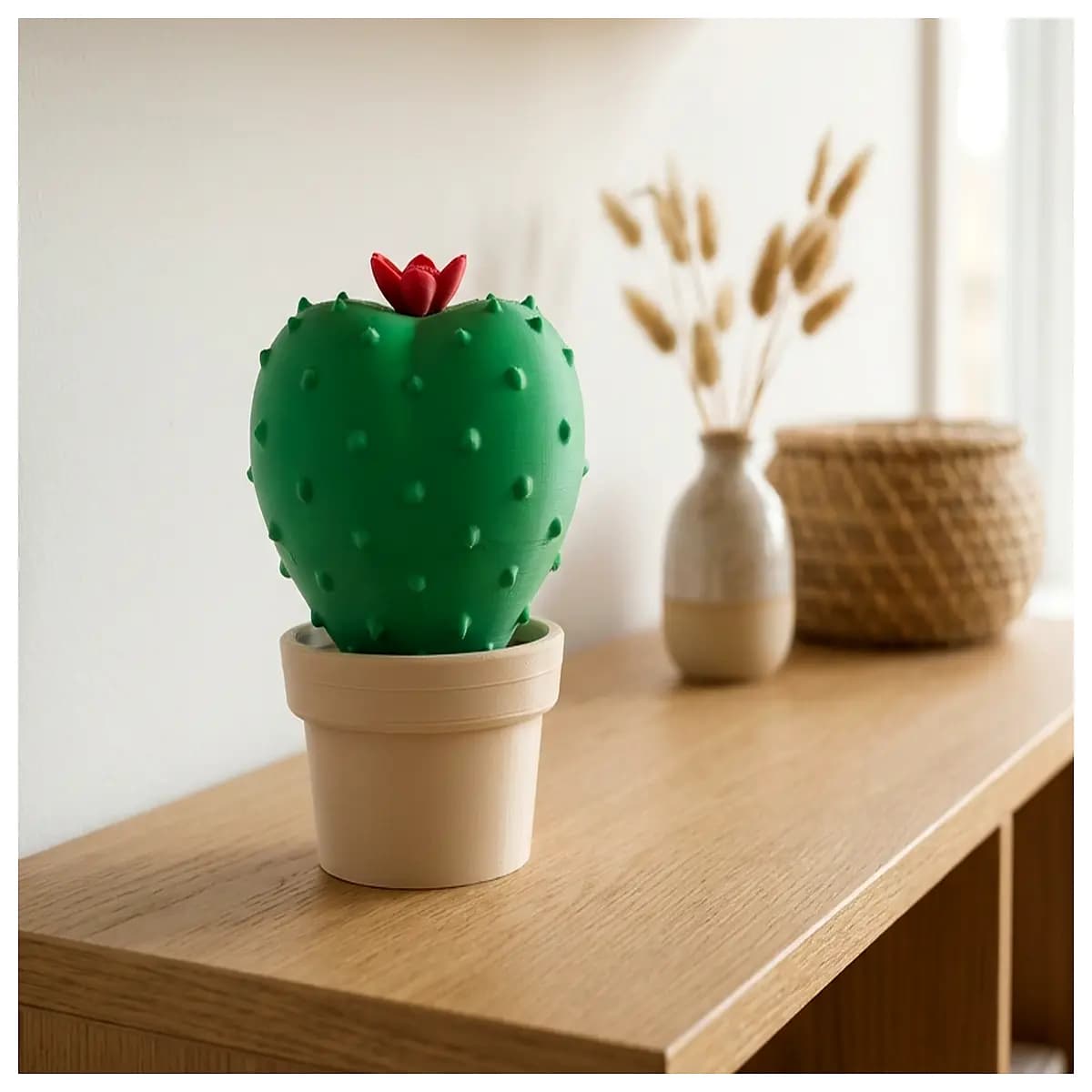 round cactus plant decorative shelf indoor home decor succulent holder plant pot rack wall mounted living room accent