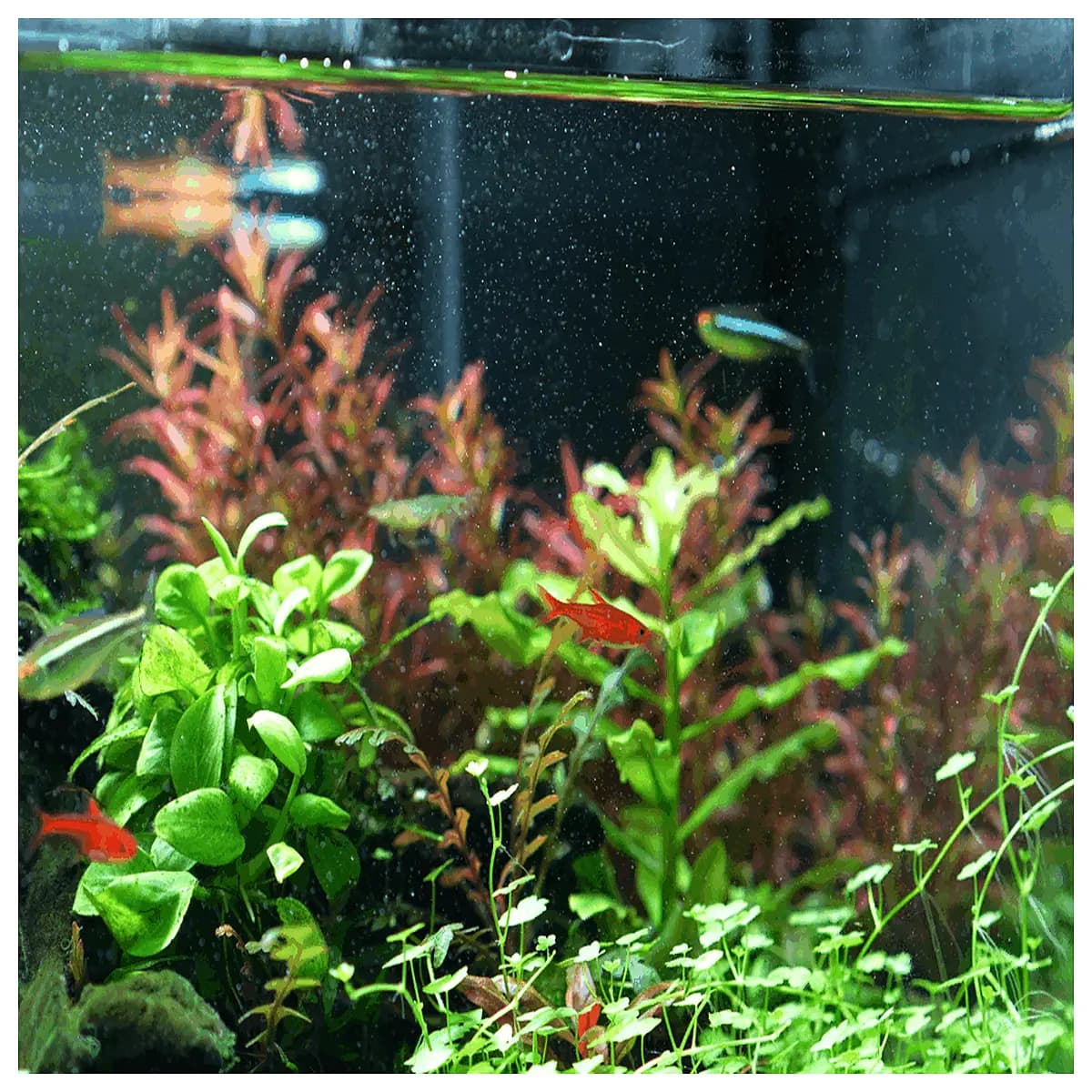 fish tank filter outlet v2 replacement parts aquarium water flow adjustment nozzle upgrade