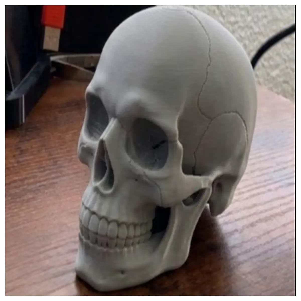 realistic human skull prop for horror movie set decoration anatomical medical study haunted house party centerpiece gothic home decor accent