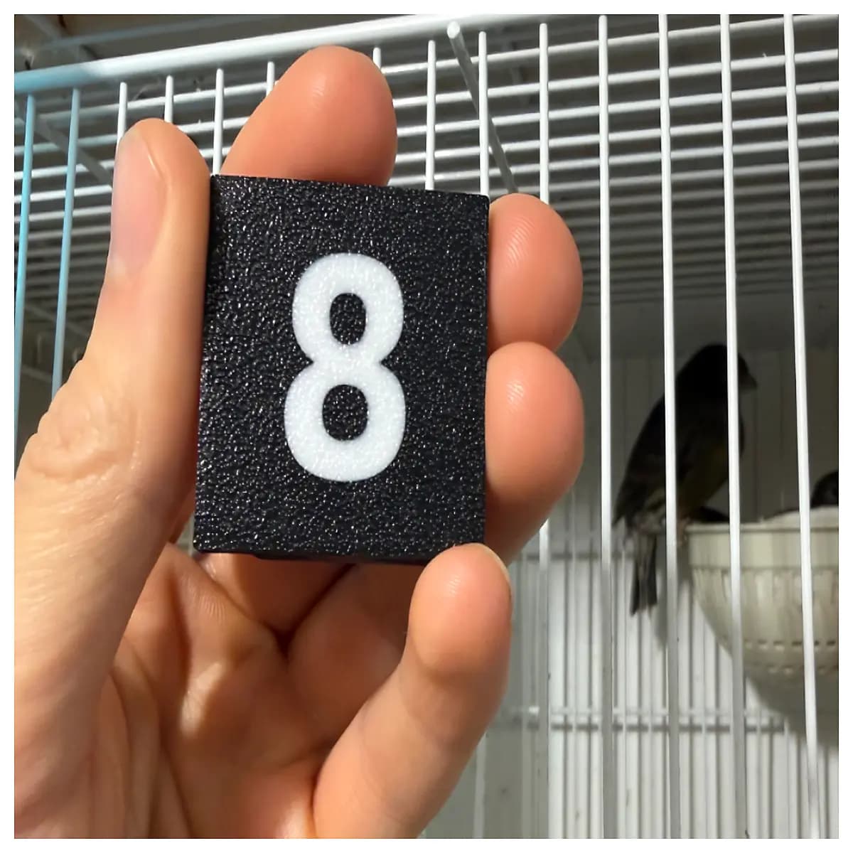 numbered birdhouse tags 1 56 outdoor poultry identification labels waterproof flock management accessories