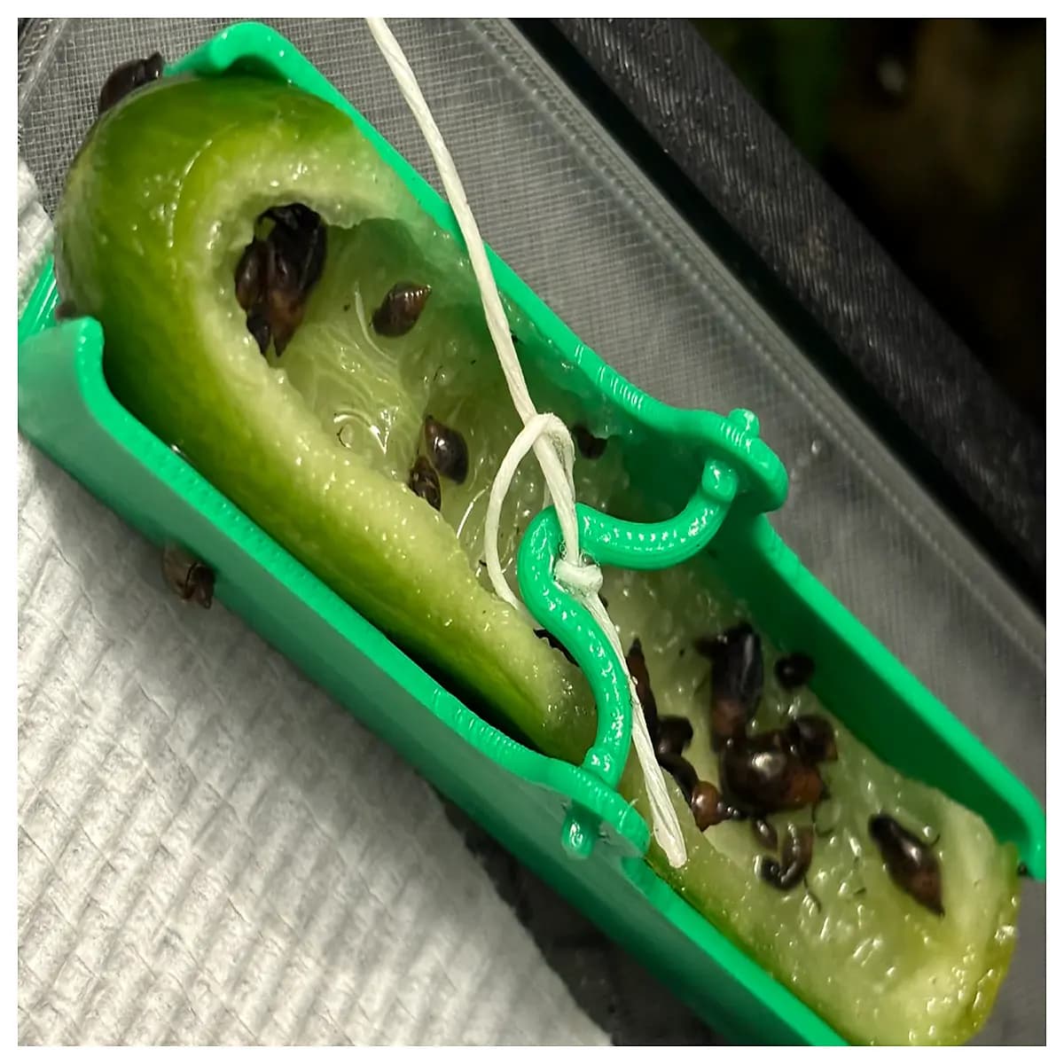 aquarium snail trap catchers for control freshwater tank goldfish bowl removal
