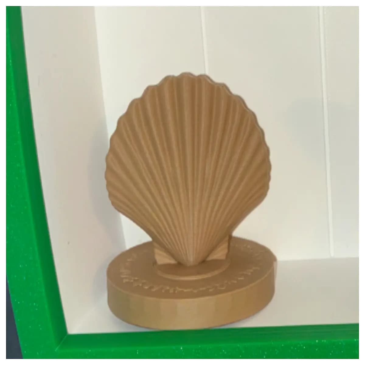 large scallop shell decor vintage nautical wall art beach house decor white seashell home accessories natural shell centerpiece