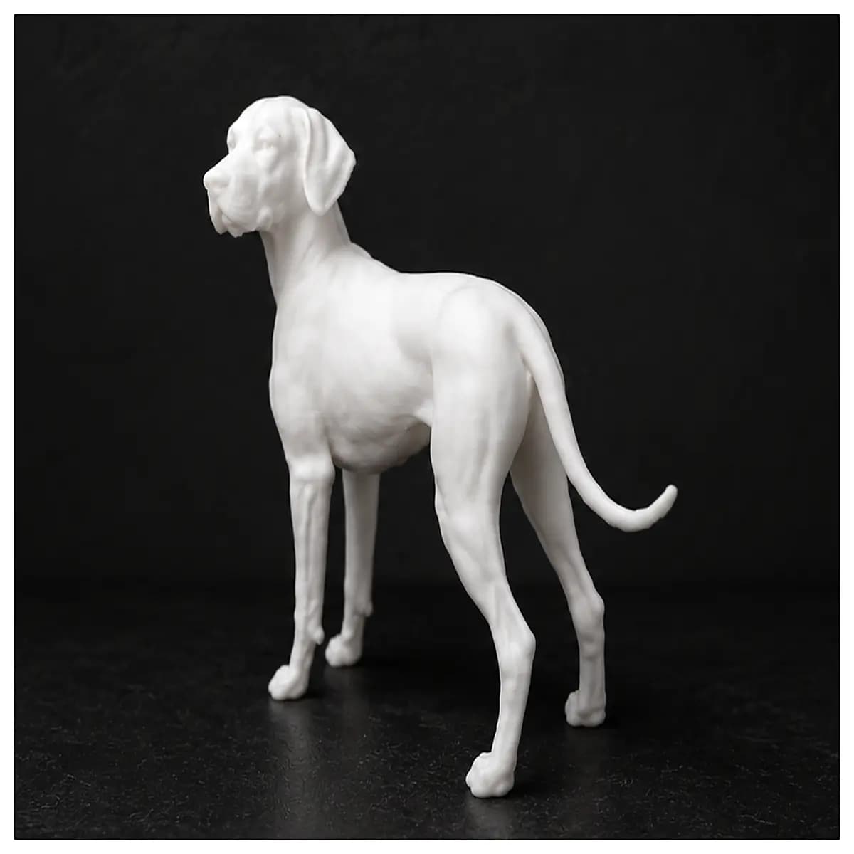 dalmatian dog breed spotted puppy for sale family pet dalmatian dog training tips purebred dalmatian cost
