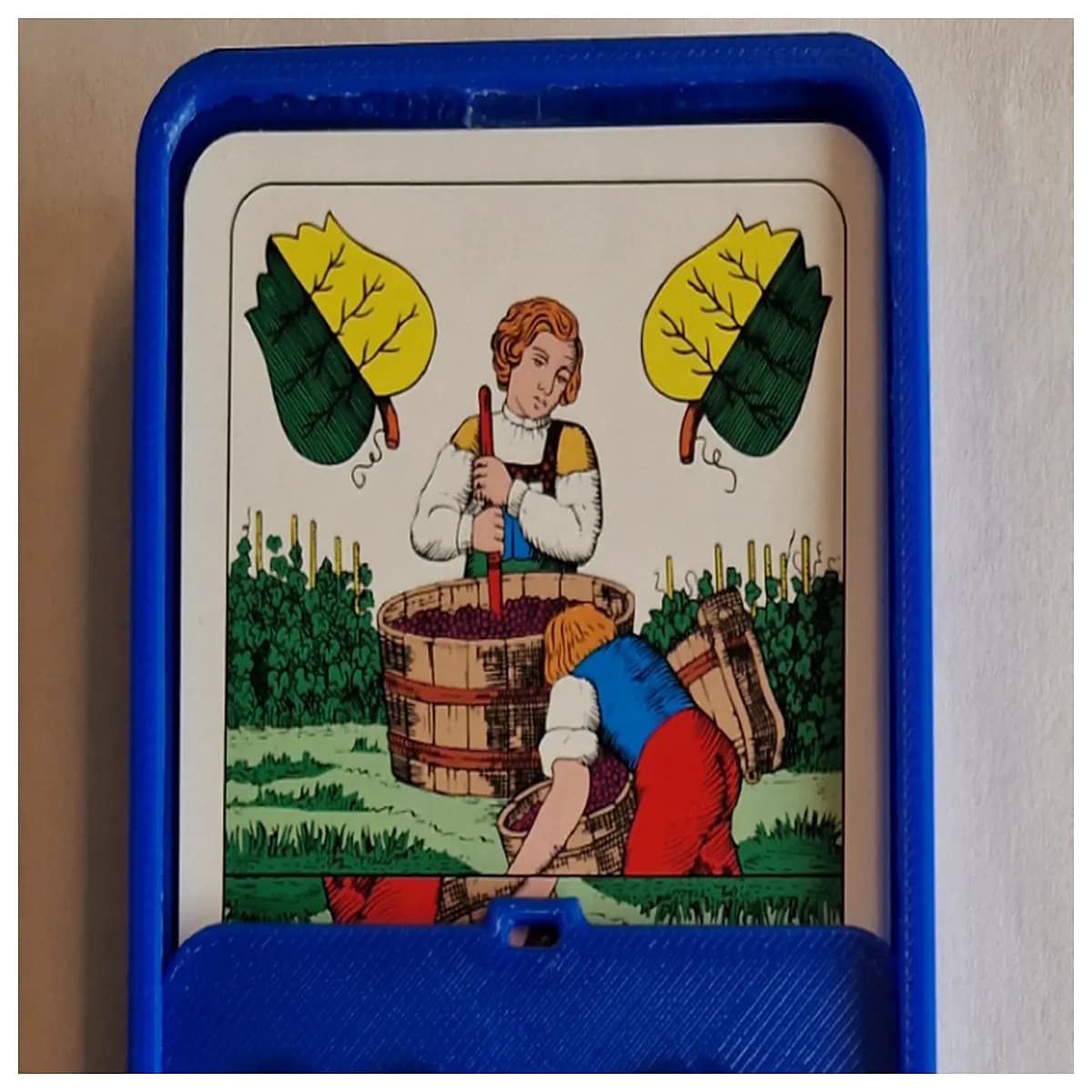 card holder organizer box storage for trading cards the gathering collectible card game protective sleeve case