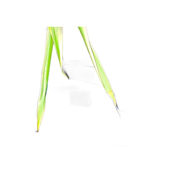 Headphone Holder Earbud Clip Phone Headphone Stand Mobile Earphone Support Compatible with All Phones