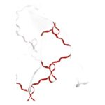 Headphone Holder Clip Simple Foldable 50g Lightweight Earbud Organizer Accessory Drop Protection